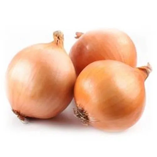 Cebolla