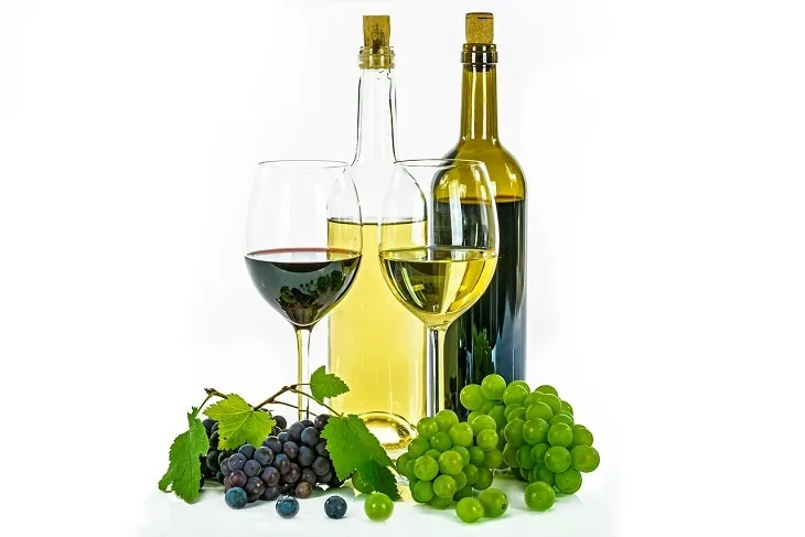 Vino Tinto o Blanc