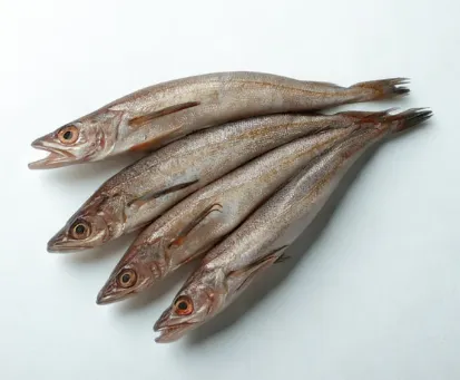 Merluza Entera