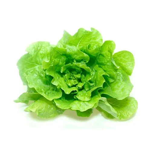Lechuga