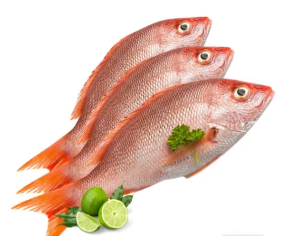 Pargo Entero