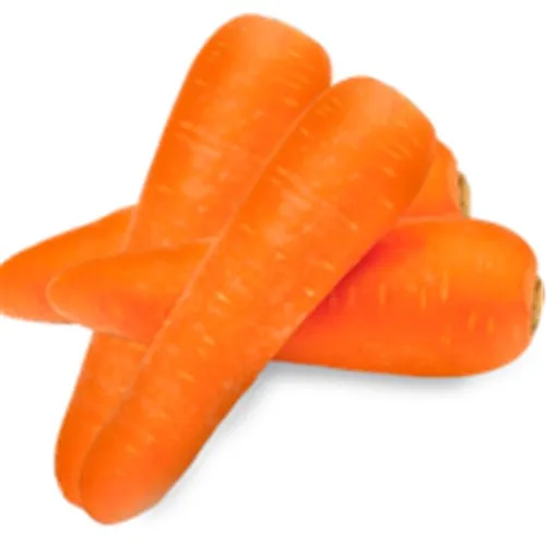 Zanahoria